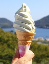 オリーブソフト