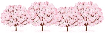桜イラスト
