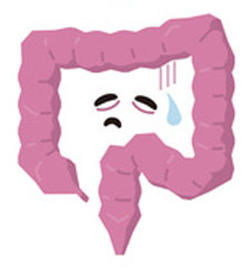 腸イラスト