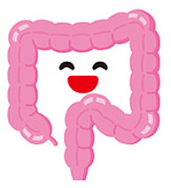 腸イラスト2