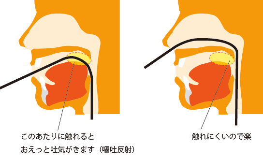 喉の奥の図