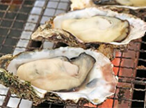 牡蠣の食べ放題