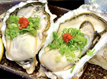 牡蠣がGWから5月
