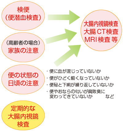 発見のきっかけ