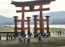 鳥居まで歩くサムネ