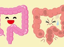 腸のイラストサムネ