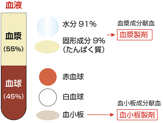 血液製剤これ