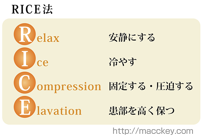 RICE法の図